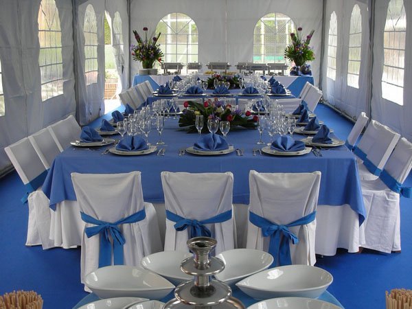 carpas para bodas