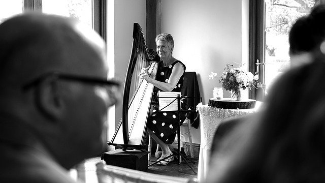 musicos orquestas djs bodas