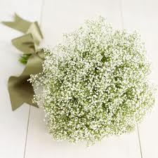 ramo florecillas