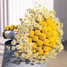 ramo florecillas