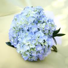 flores azules