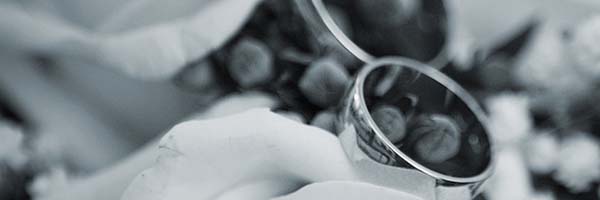 anillos anillos