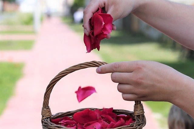 petalos-rosa-bodas