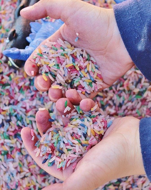 arroz-de-colores